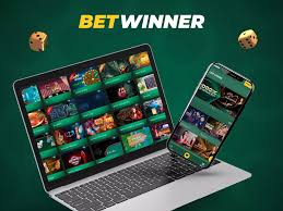 BetWinner Gambling Enterprise Review