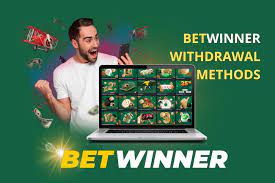 BetWinner Gambling Enterprise Testimonial